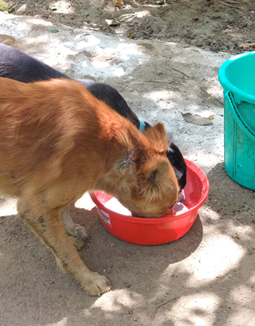 Providing Food