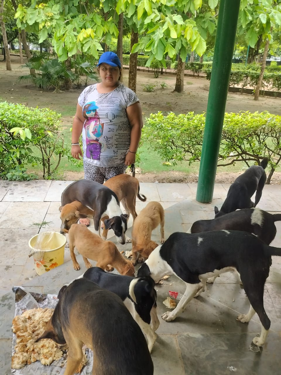 Feeding The Dogs